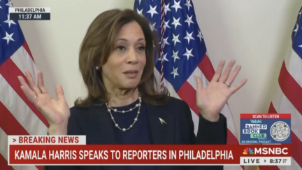 Kamala Harris Dismisses Reporter's Question About Her Campaign's Internal Numbers: 'My Internal Polling is My Instinct'